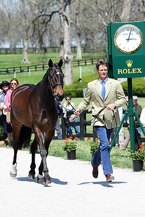 Rolex - horse inspections