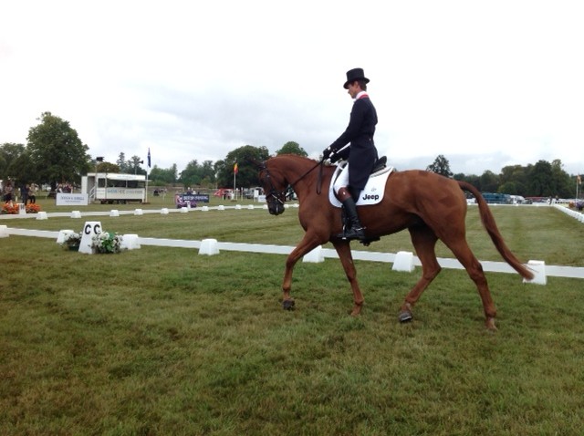 Blenheim Day 1