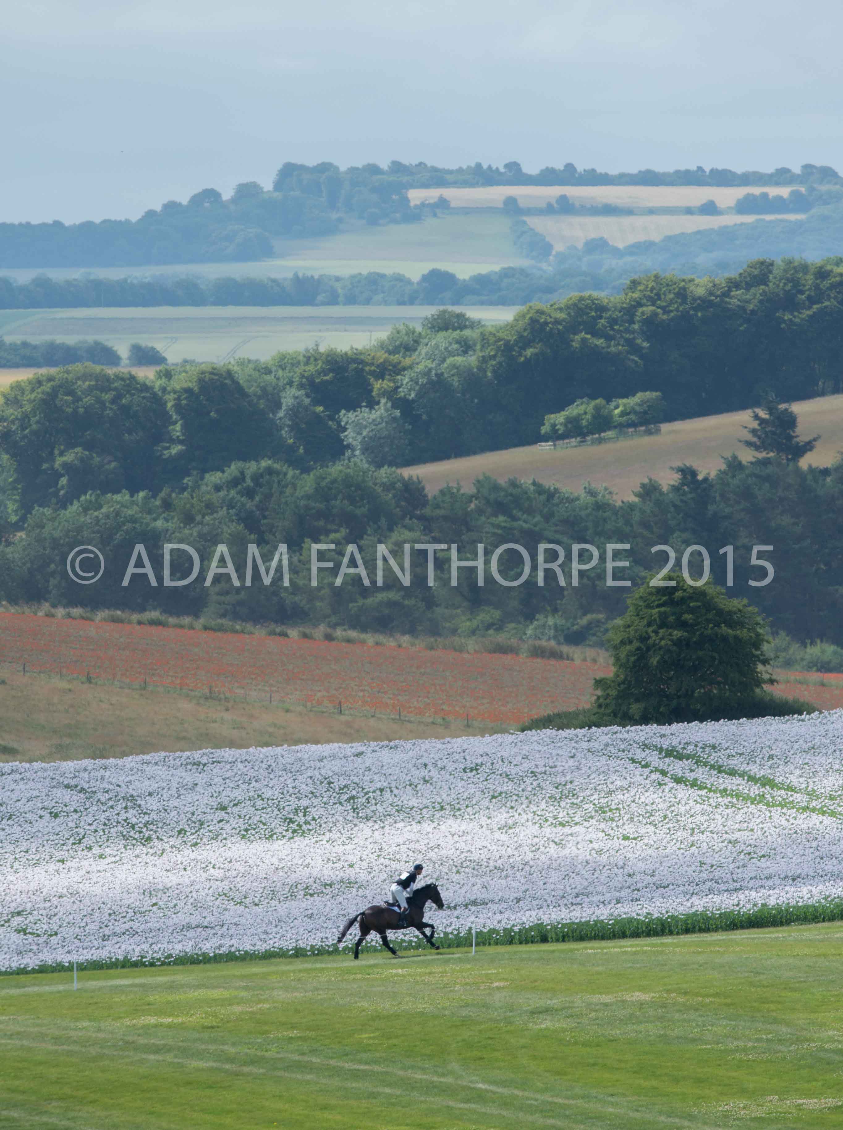 Barbury update