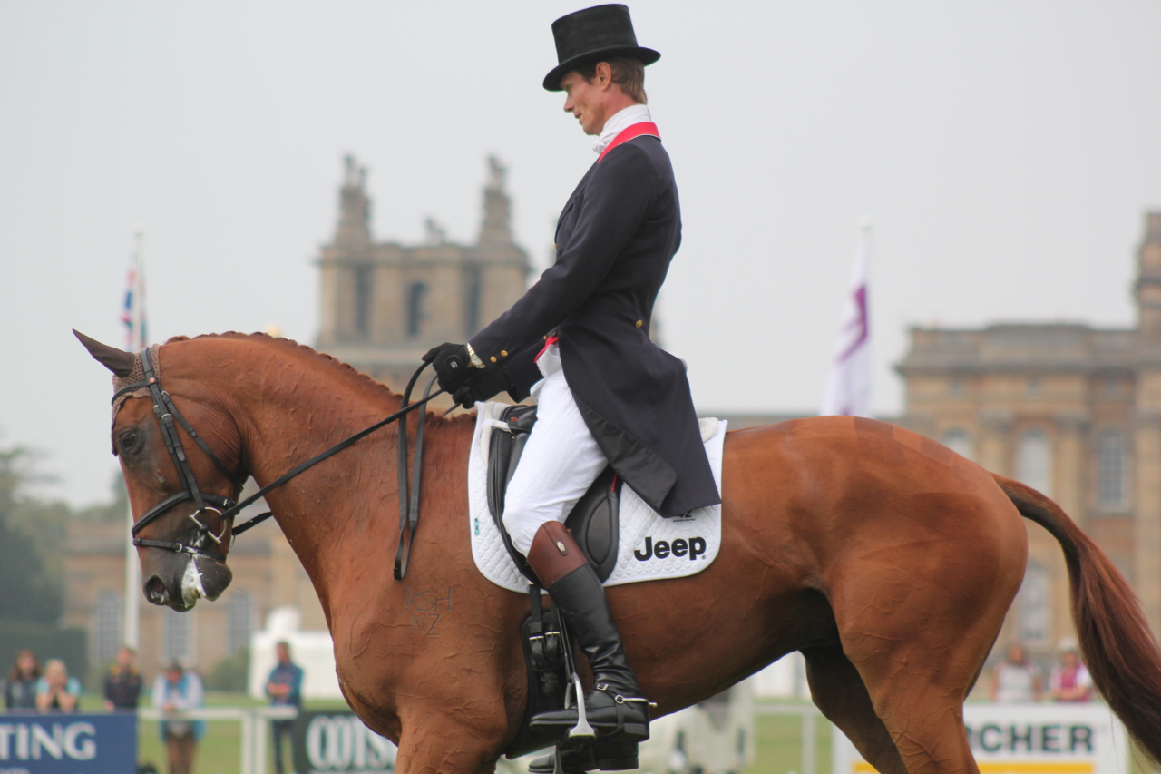 Blenheim - Dressage update from William