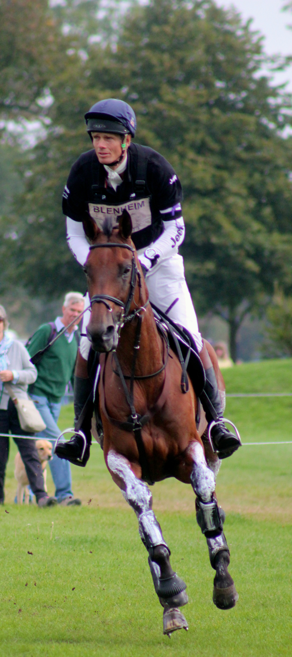 Blenheim - cross country & CIC show jumps