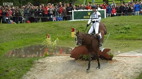WEG - William and Chilli's cross country result